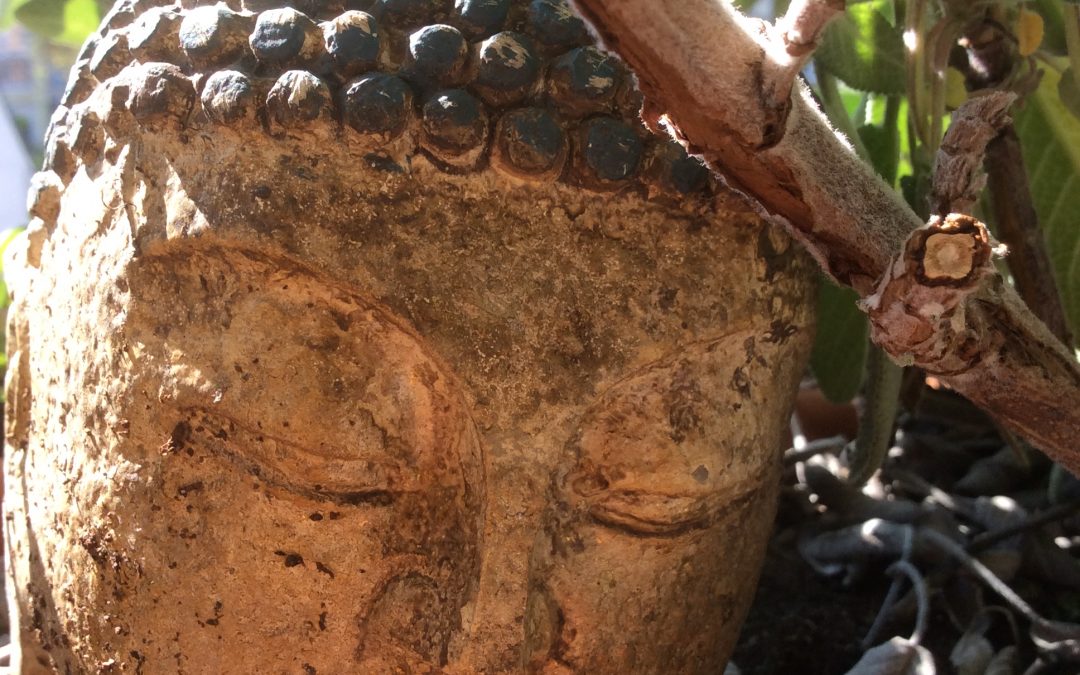 Wie Meditation mein Leben bereichert und meine künstlerische Konzentration fördert