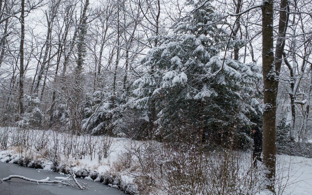 Genussvolle Wärme an kalten Tagen