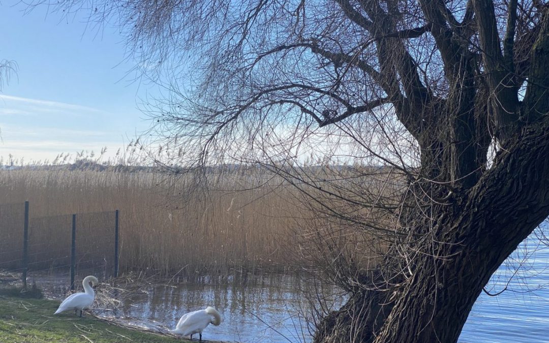 Yuhuu, der Frühling ist bald da